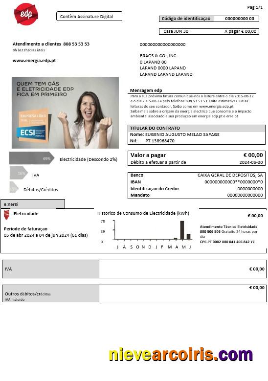 Portugal EDP electricity business utility bill